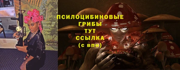 эйфоретик Костерёво